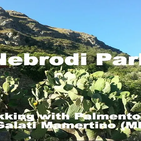 Penzion Al Palmento 3*